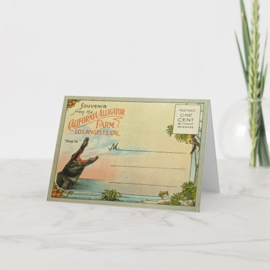 California Alligators Kaart (Voorkant)