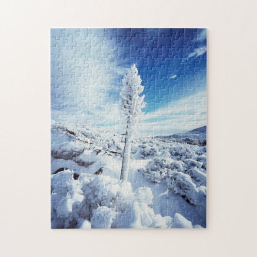 California, Anza Borrego Desert State Park 2 Legpuzzel (Verticaal)