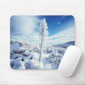 California, Anza Borrego Desert State Park 2 Muismat (Met muis)