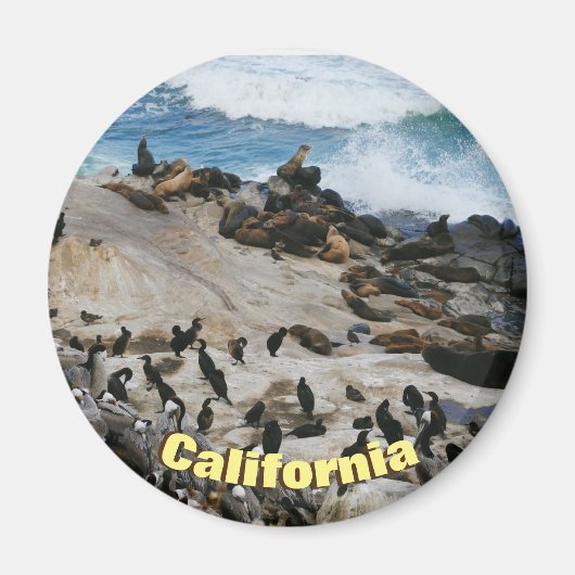 California Beach Magneet (Voorkant)