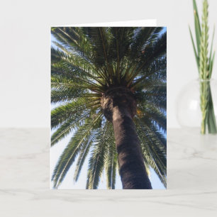California Beach Palm Custom Photo Wenskaarten Kaart