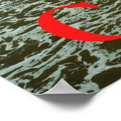 California Beach Poster (Hoek)