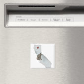 california Beer magnet (Insitu (Vaatwasser))
