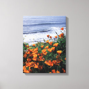 California, Big Sur Coast, California Poppy Canvas Afdruk