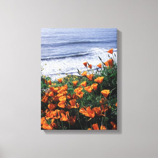 California, Big Sur Coast, California Poppy Canvas Afdruk (Voorkant)