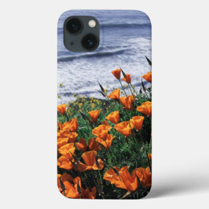 California, Big Sur Coast, California Poppy Case-Mate iPhone Case