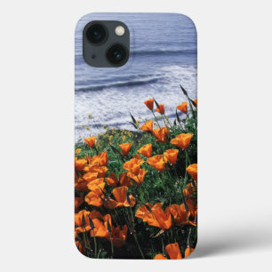 California, Big Sur Coast, California Poppy iPhone 13 Hoesje
