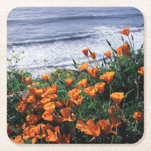 California, Big Sur Coast, California Poppy Kartonnen Onderzetters