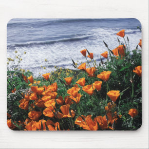 California, Big Sur Coast, California Poppy Muismat