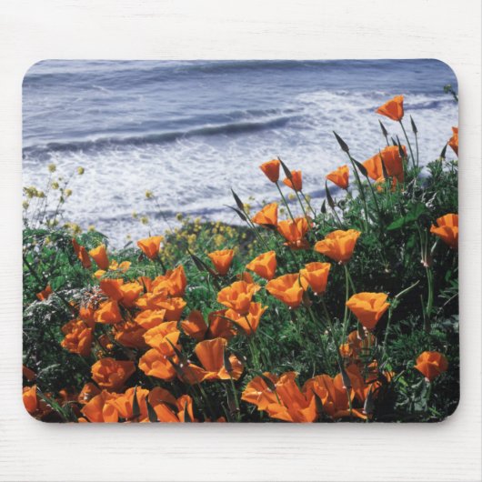 California, Big Sur Coast, California Poppy Muismat (Voorkant)