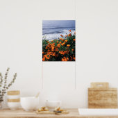 California, Big Sur Coast, California Poppy Poster (Keuken)
