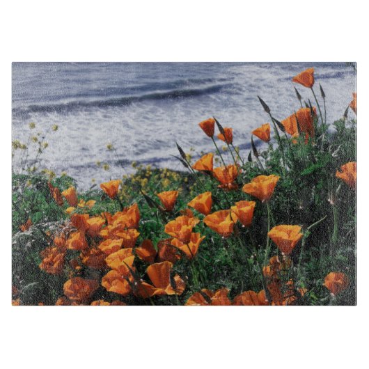 California, Big Sur Coast, California Poppy Snijplank (Voorkant)