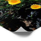 California, Big Sur Coast, Central Coast 1 Poster (Hoek)