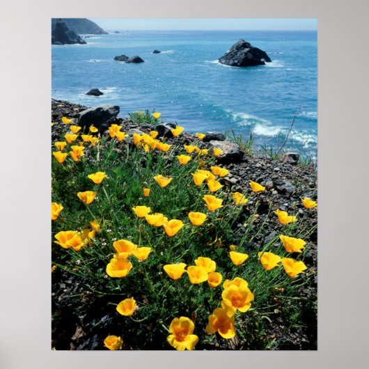 California, Big Sur Coast, Central Coast 1 Poster (Voorkant)