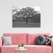 California Black Oak Tree Sepia Canvas Afdruk (Insitu (Woonkamer))