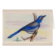 California Blue Jay Bird Bedankt voor je creditcar