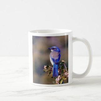 California Blue Koffiemok