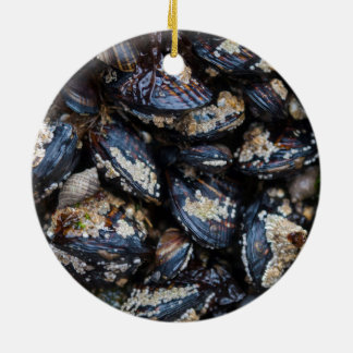 California Blue Mussels groeien op rots in Bandon Keramisch Ornament