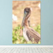 California Brown Pelican Canvas Afdruk (Insitu (Houten vloer))