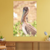 California Brown Pelican Canvas Afdruk (Insitu (Woonkamer))