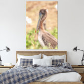 California Brown Pelican Canvas Afdruk (Insitu (Slaapkamer))