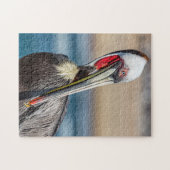California Brown Pelican, Fine Art Photo, Legpuzzel (Horizontaal)