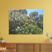 California Buckeye Canvas Afdruk (Insitu (Woonkamer))