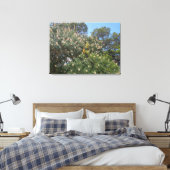 California Buckeye Canvas Afdruk (Insitu (Slaapkamer))