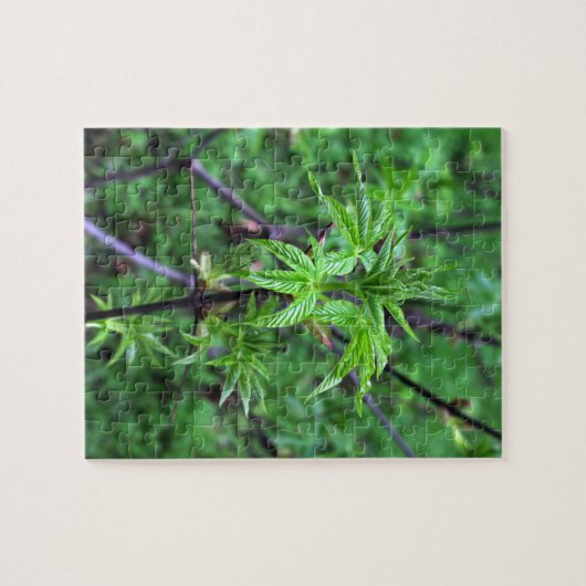 California Buckeye Seedling Puzzle Legpuzzel (Horizontaal)
