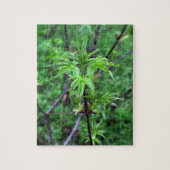 California Buckeye Seedling Puzzle Legpuzzel (Verticaal)