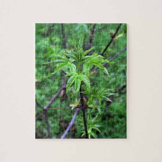 California Buckeye Seedling Puzzle Legpuzzel (Verticaal)