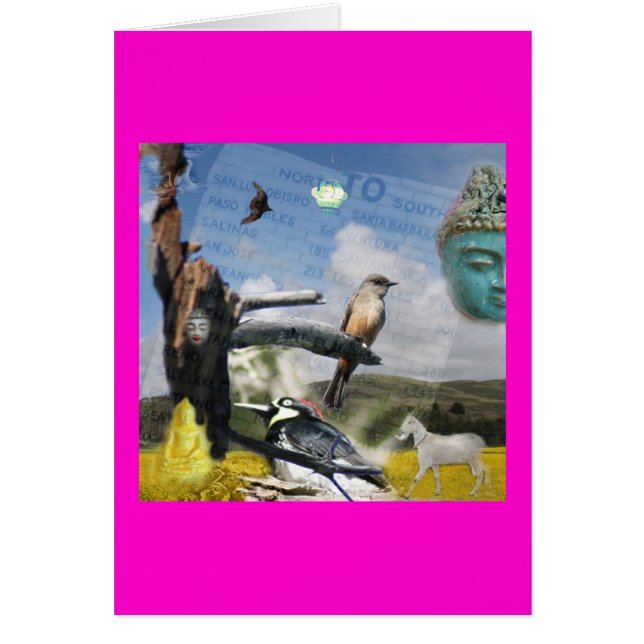 California Buddha (Voorkant)