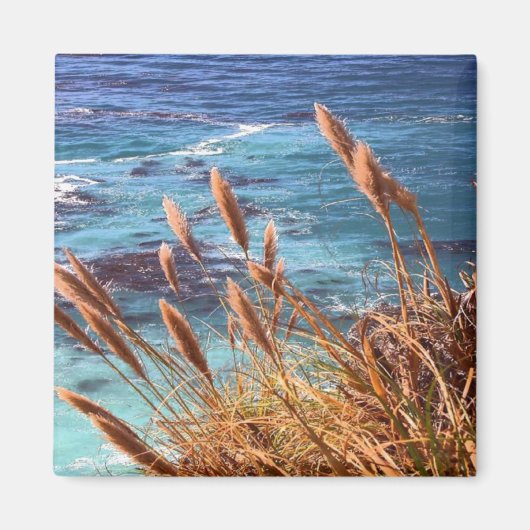 California Coastal Magnet (Voorkant)