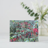 CALIFORNIA COLOR CELEBRATION:JANUARI BRIEFKAART (Staand voorkant)