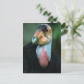 California Condor Briefkaart (Staand voorkant)
