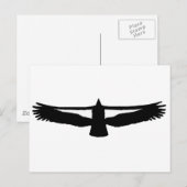 California Condor Briefkaart (Voorkant / Achterkant)