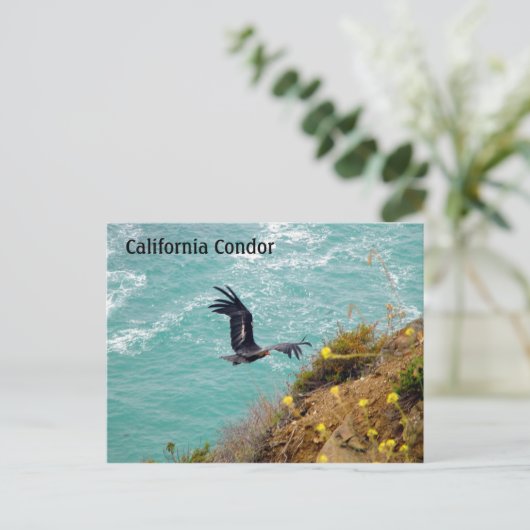 California Condor Briefkaart (Staand voorkant)