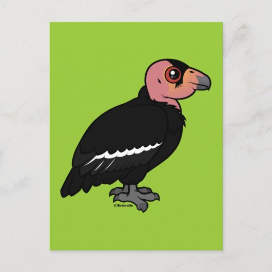 California Condor Briefkaart (Voorkant)