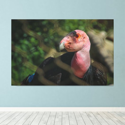 California Condor Canvas Afdruk (Insitu (Houten vloer))