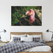 California Condor Canvas Afdruk (Insitu (Slaapkamer))