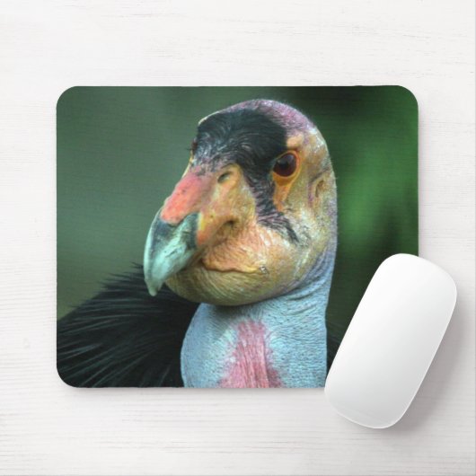 California Condor Mousepad Muismat (Met muis)
