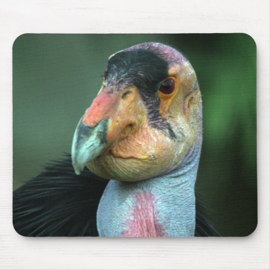 California Condor Mousepad Muismat (Voorkant)