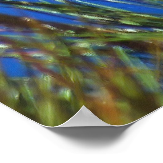 California Condor Poster (Hoek)