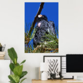 California Condor Poster (Thuiskantoor)