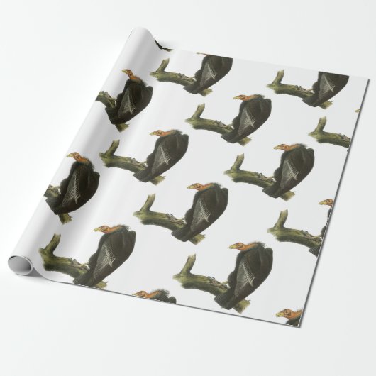 California Condor van Audubon Cadeaupapier (Uitgerold)