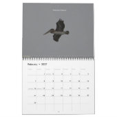 California Creatures Calendar (september-augustus) Kalender (Feb 2027)