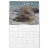 California Creatures Calendar (september-augustus) Kalender (Jan 2027)