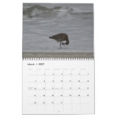 California Creatures Calendar (september-augustus) Kalender (Mar 2027)