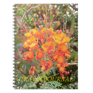 CALIFORNIA DESERT FLOWER #1 REISJOURNAAL NOTITIEBOEK