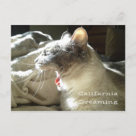 California Dreaming Briefkaart